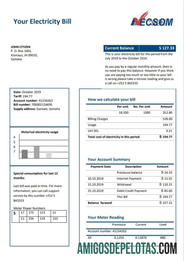 Em branco modelo de conta de serviços públicos de eletricidade da Somália NESCOM Company em formato Word e PDF